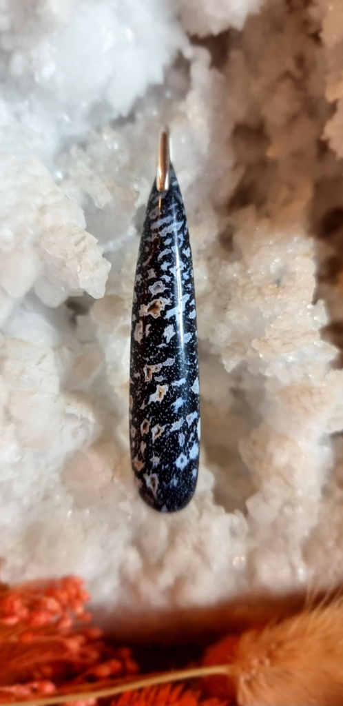 Bois de palmier fossile